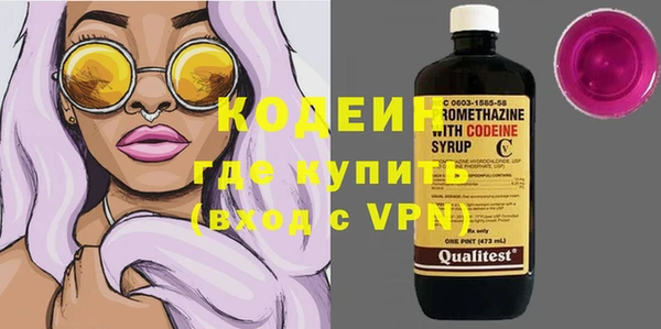 молекула духа Богородицк