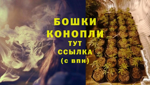 молекула духа Богородицк
