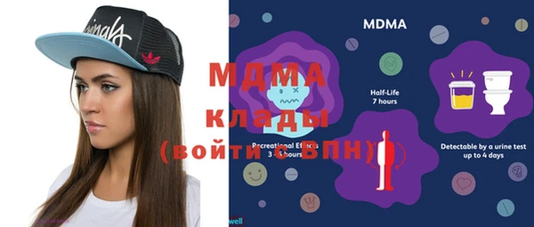 молекула духа Богородицк