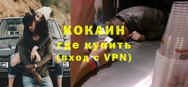 молекула духа Богородицк