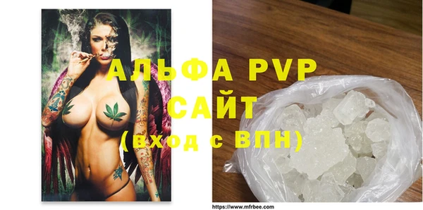 молекула духа Богородицк