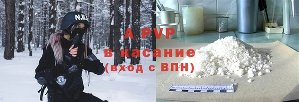 молекула духа Богородицк