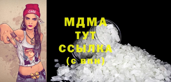молекула духа Богородицк